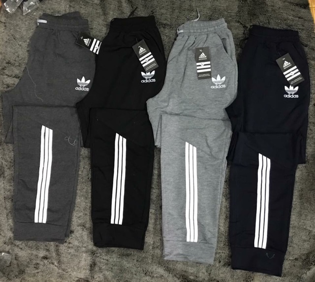 Tuyển ctv tq! Quần nỉ da cá adidas nam!