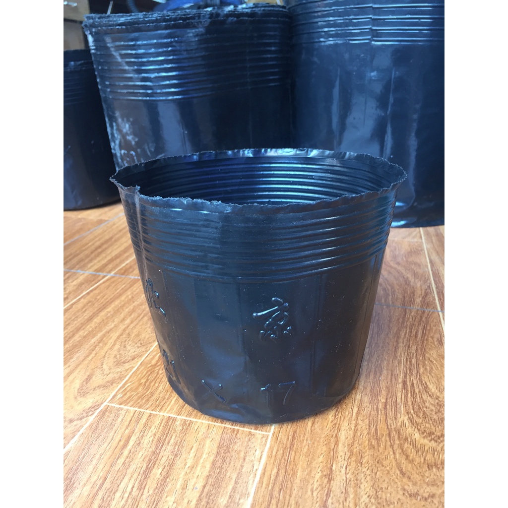 BẦU ƯƠM CÂY 21*17 ( DỊCH TRUYỀN CHO CÂY, KÍCH RỄ , MẦM CÂY XANH LÁ, LƯỚI CHE NẮNG...)