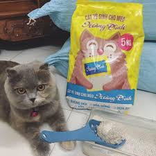 Cát vệ sinh giá rẻ cho mèo Hoàng Đình VS-003