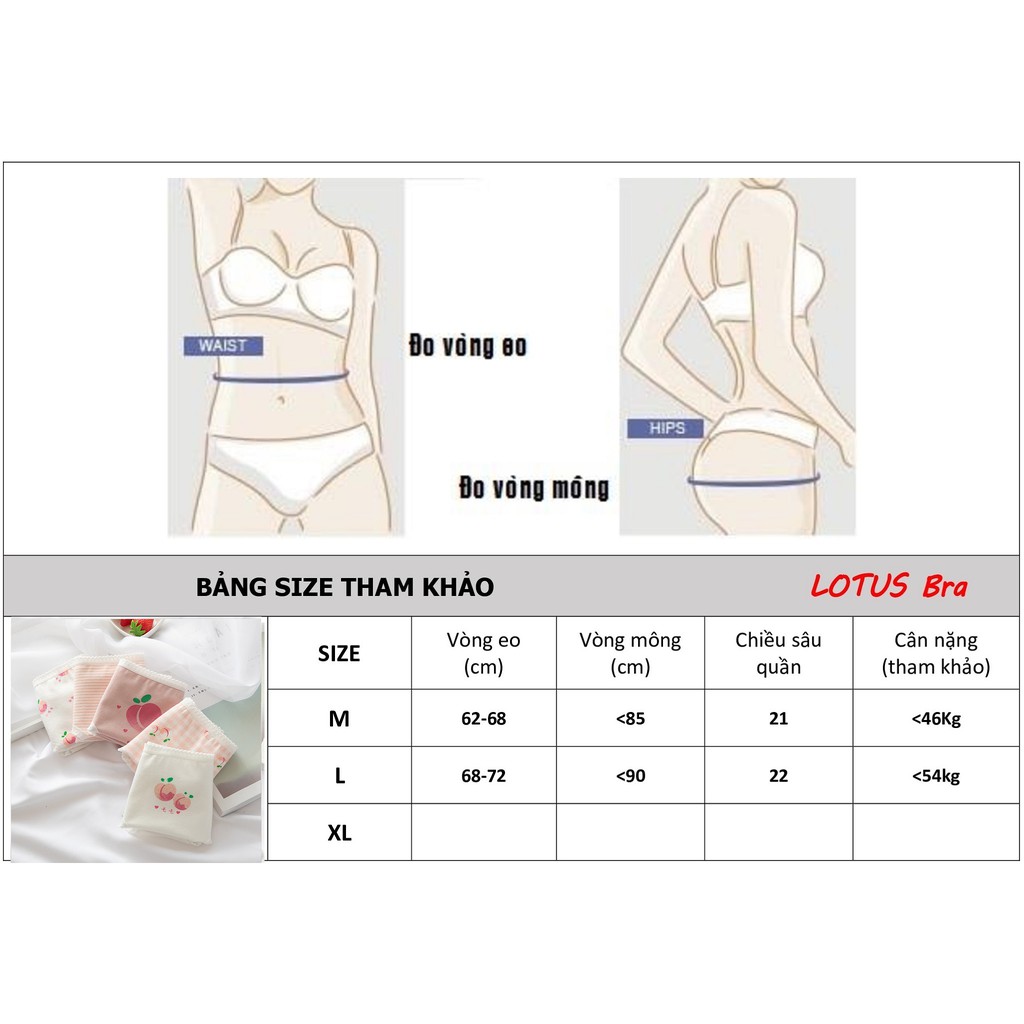 Set combo 5 quần lót nữ cotton  NuciFera nhiều mẫu dễ thương sắc màu, chất thoáng mát co dãn