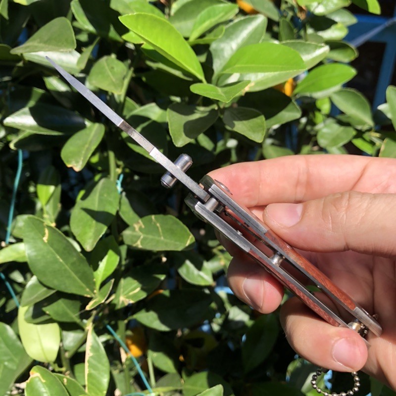 Dao phượt - dao gọt hoa quả Usa treo móc khoá xe xịn sò