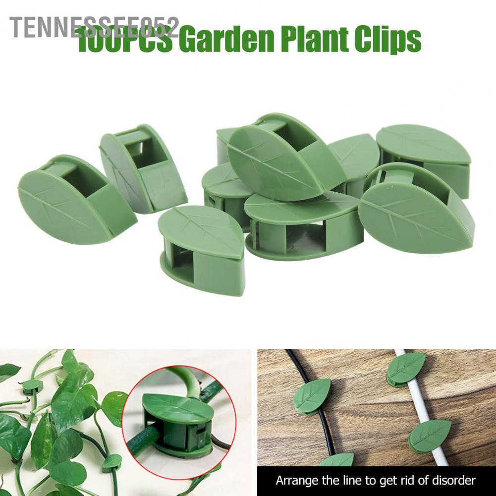 Tennessee052 100PCS Thực vật Leo tường Cố định Kẹp Tường Dây leo Clip Tự dính Móc treo Lực kéo