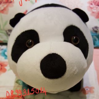 Gấu bông anh em nhà gấu