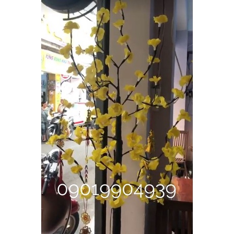 CÂY MAI / CÂY ĐÀO CÓ LED 8 CHẾ ĐỘ - CÂY MAI, ĐÀO TRƯNG TẾT 1M2