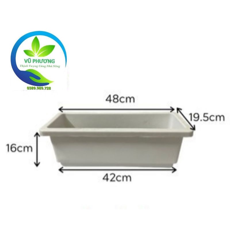 SỐC !!Chậu chữ nhật trồng rau, hoa Thông MinhKích thước: 48x20x16cm