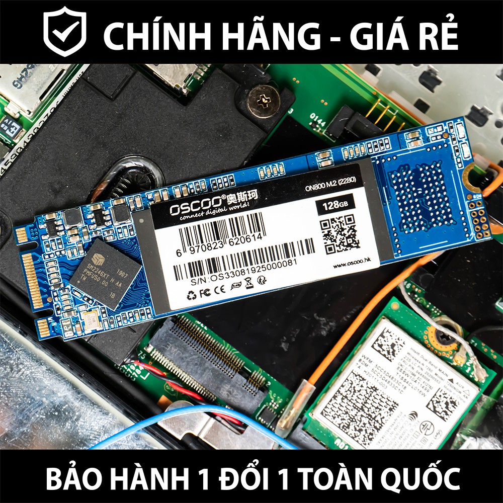 Ổ cứng SSD OSCOO - M.2 M2 SATA 2280 - Chính hãng phân phối - Bảo Hành 36 tháng