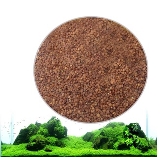 Hạt giống cỏ thuỷ sinh - gói nhỏ