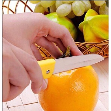 🍉Dao gọt hoa quả gấp gọn du lịch tiện lợi - Dao Gấp Bỏ Túi DUASHOP.