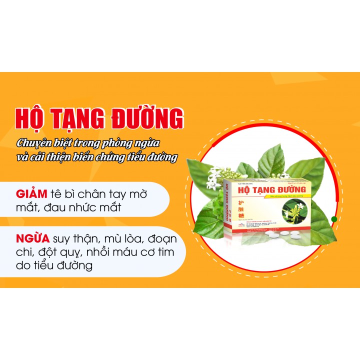 THỰC PHẨM CHỨC NĂNG HỘ TẠNG ĐƯỜNG - Hỗ trợ giúp giảm và phòng ngừa các biến chứng của tiểu đường, ổn định đường huyết