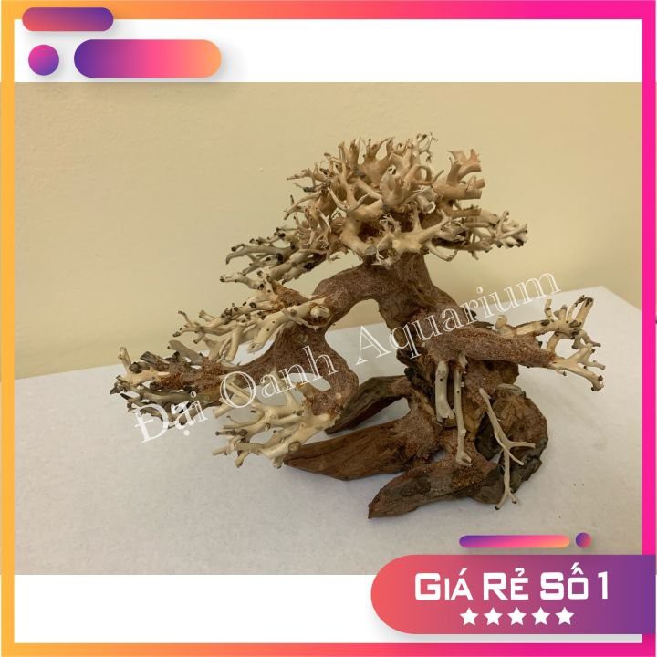 Lũa Bonsai Mini Trang Trí Bể Cá Cảnh, Bể Thủy Sinh Dáng Cây Cổ Thụ Cho Bể Cá 30-50cm