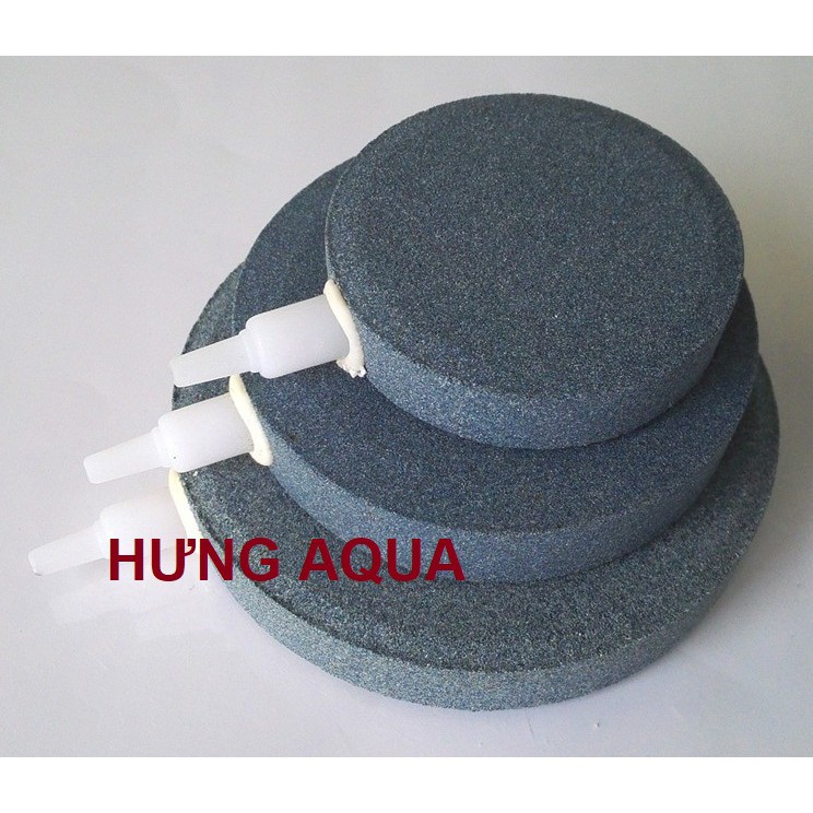 Đĩa sủi oxy - đĩa sủi siêu mịn cho hồ koi, đĩa sủi bể cá đủ size 40mm 60mm 80mm 10mm 120mm
