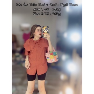 Áo Tiểu Thư Bigsize 60 - 90kg