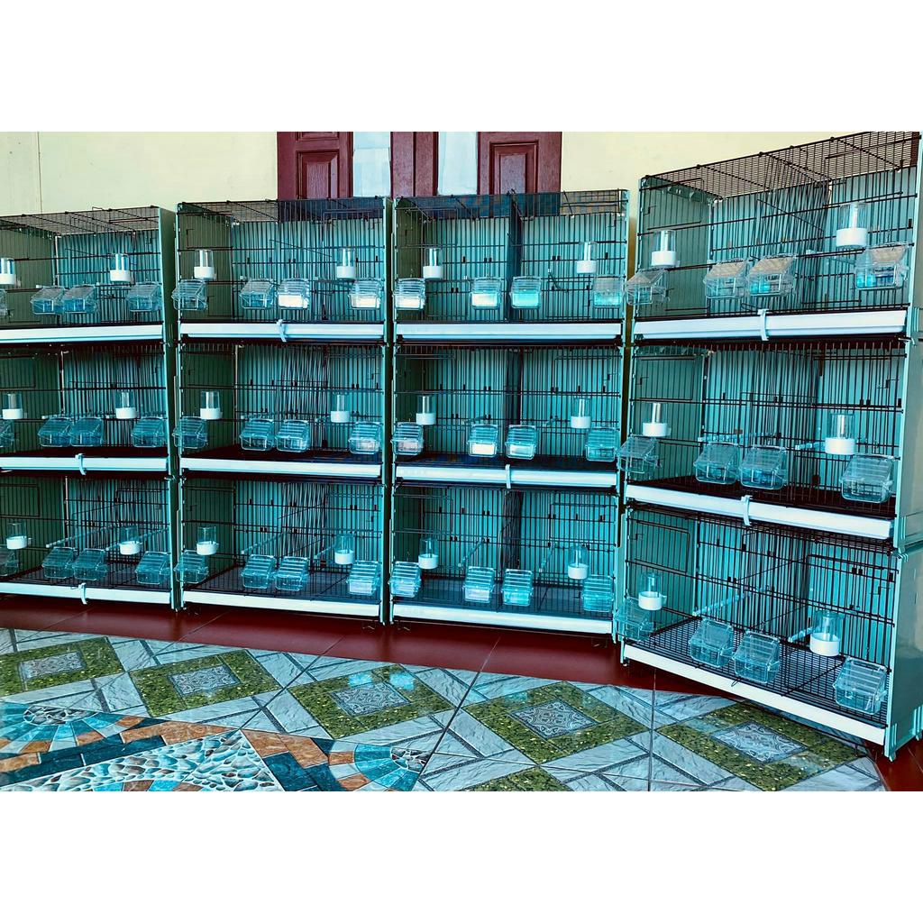 Lồng sinh sản hoặc tách trống mái 3 vách nhựa dành cho chim cảnh