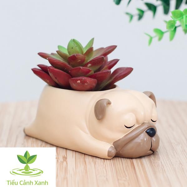 Chậu cây chó Pug ngủ say - Chậu trồng cây