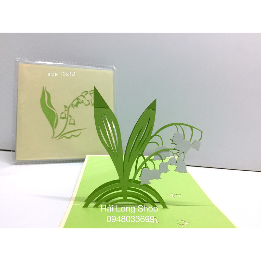 Hoa Lan - Orchid - Flower - Thiệp 3D | BigBuy360 - bigbuy360.vn