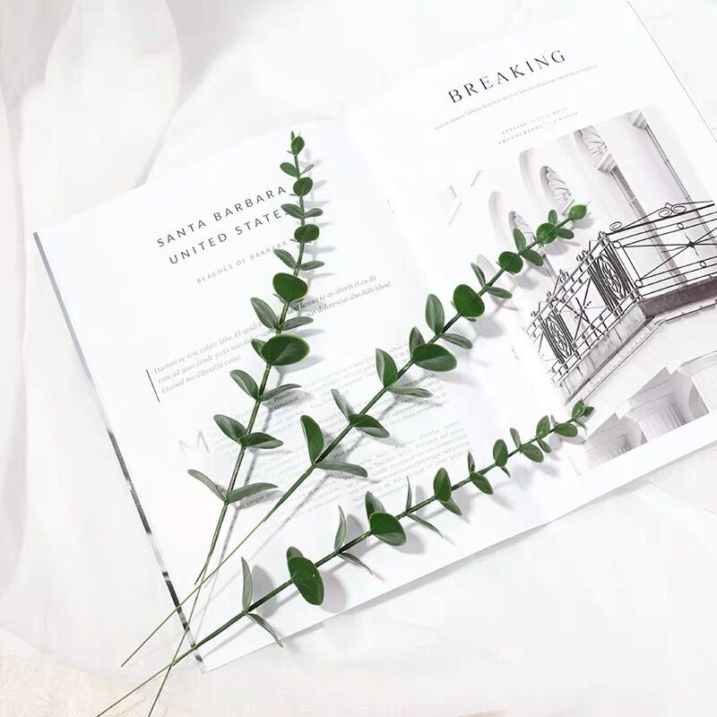 Chậu Cây Bạch Đàn Giả Phong Cách Bắc Âu Cổ Điển Dùng Để Trang Trí Phòng Khách