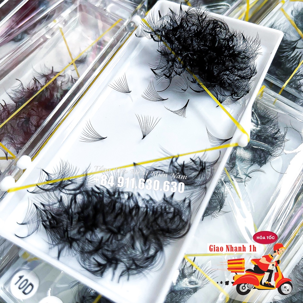Mi Fan 10D dày 0.05-0.07 Siêu Mềm Mịn - Mi Fan Sẵn Hộp 500 Fan - Dụng cụ nối mi - Be Lash