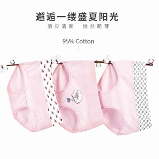 Quần Lót Cạp Cao, Cao Cấp (Combo 5)