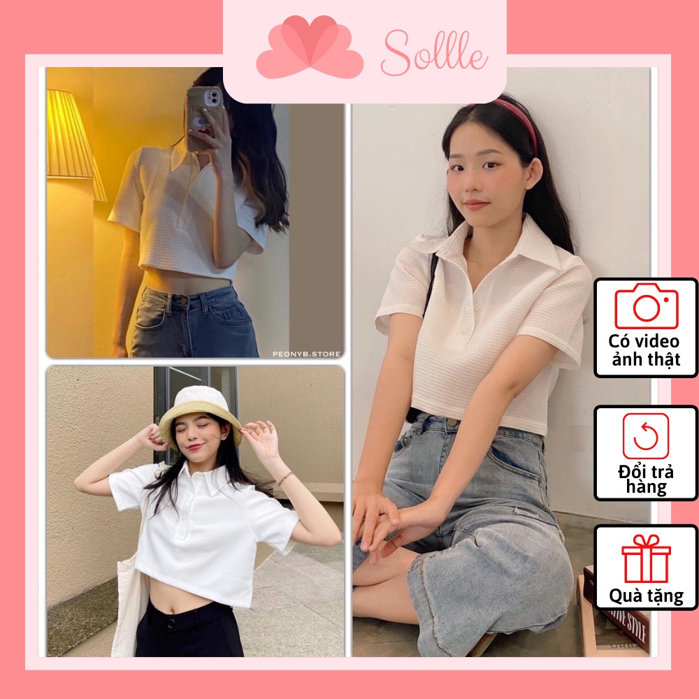 Áo croptop trắng polo chất thun tổ ong ngắn tay, áo nữ kiểu dáng ngắn cổ bẻ, phối cúc ngực Sollle