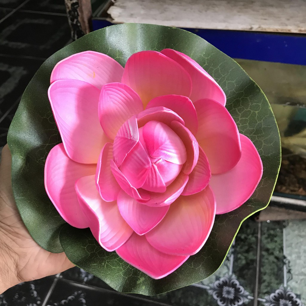 SEN GIẢ TRANG TRÍ HỒ CÁ NON BỘ ĐƯỜNG KÍNH 23CM