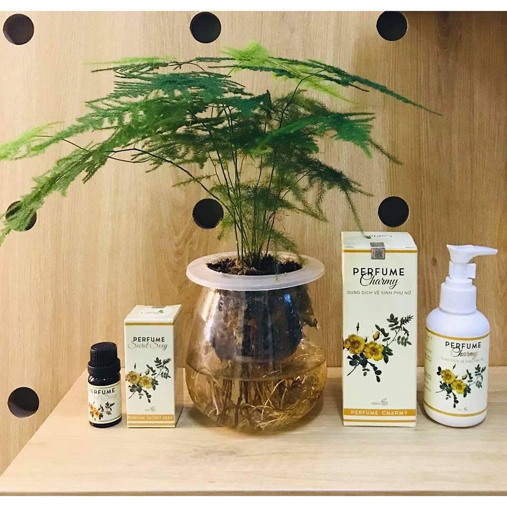 Nước Hoa Cô Bé (Vùng Kín) Chính Hãng LaFla Perfume Secret Sexy 10ml - Che Tên Khi Đặt Hàng | Thế Giới Skin Care