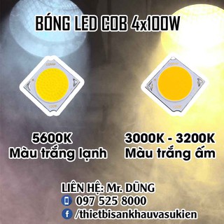 BÓNG LED COB 100W