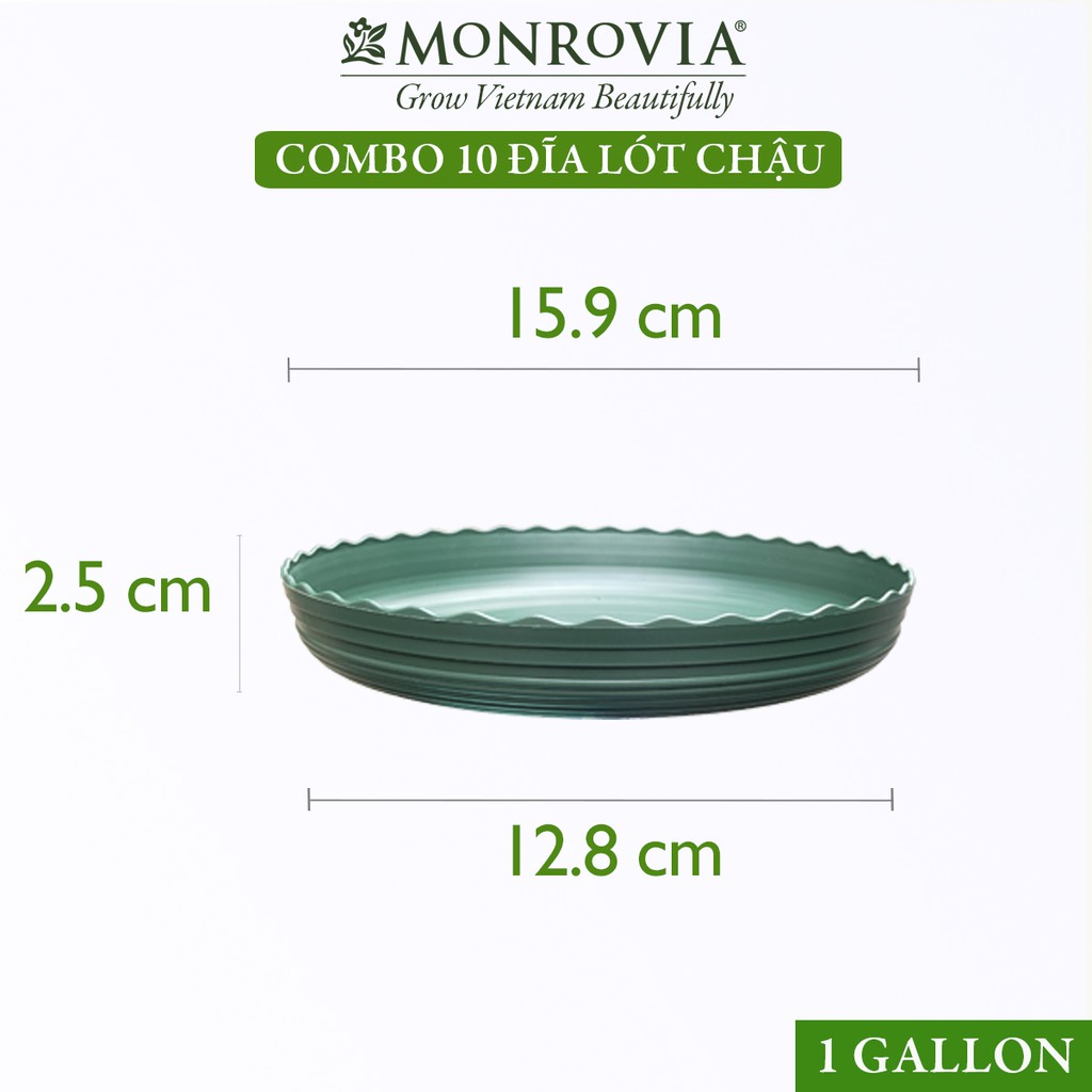 Combo 10 Đĩa lót chậu nhựa trồng cây MONROVIA 1gl, để bàn, treo ban công, treo tường, ngoài trời, sân vườn, chính hãng