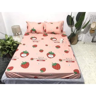 Sét ga gối poly cotton