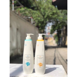 Dầu xả leo Prosee 800ml