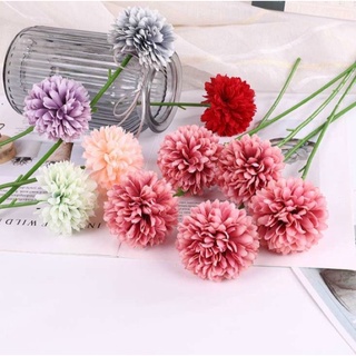 Set 5 Hoa Bồ Công Anh  Vải