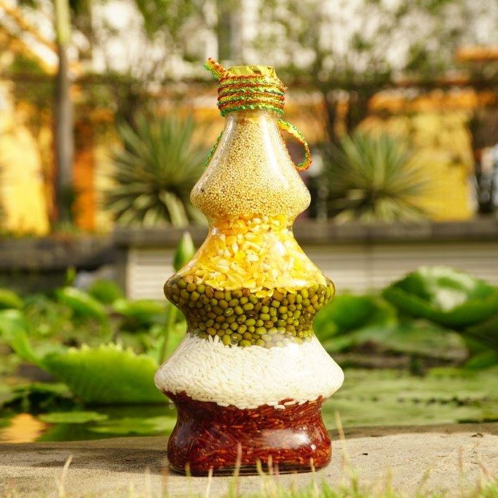 Ngũ cốc phong thủy CÂY THÔNG cầu tài lộc sung túc