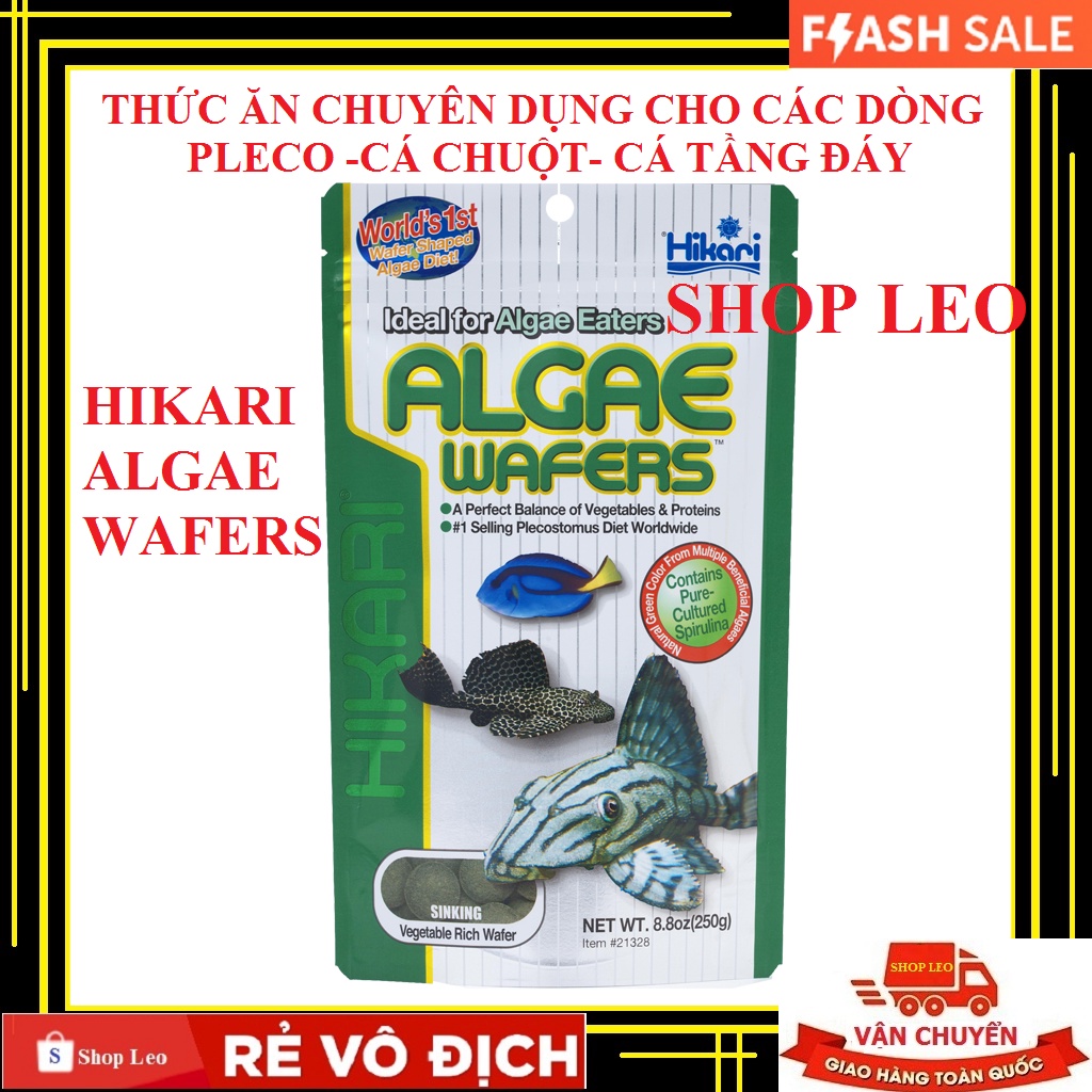 Thức ăn Pleco Hikari - Thức ăn chuyên dụng cho cá tầng đáy - Pleco - Cá săn mồi - Cám Hikari - cám Nhật - shopleo