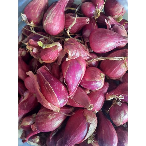 1kg hành tím
