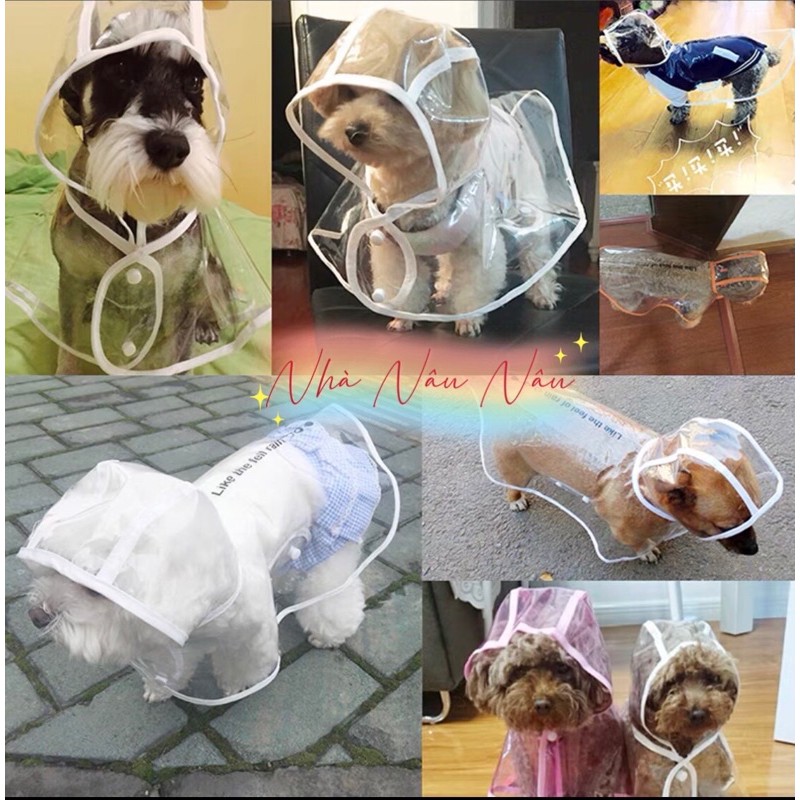 áo mưa 🌧 cho chó mèo