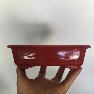 Chậu bonsai chữ nhật Mini