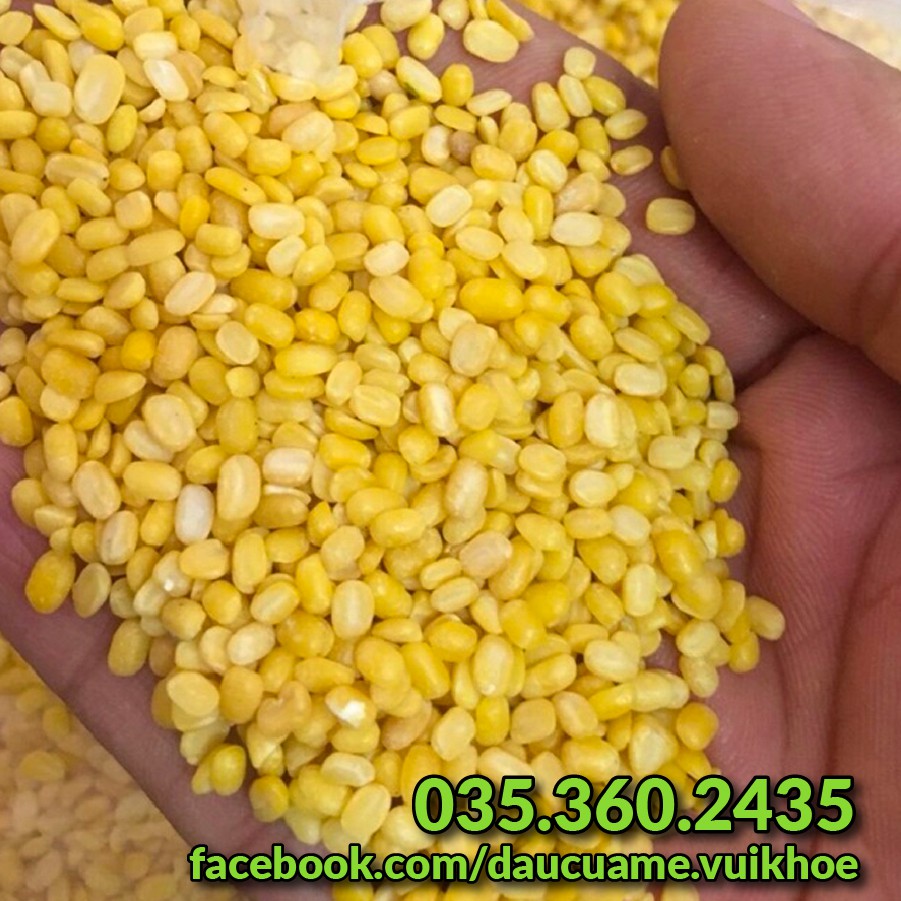 Đậu xanh bóc sạch vỏ