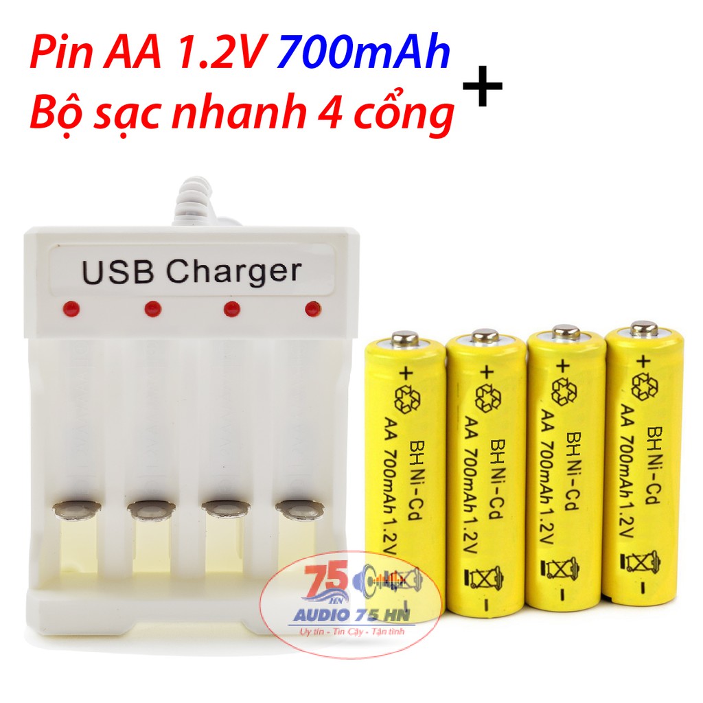 Bộ Vỉ 04 viên Pin AA Ni-Cd 1.2V 700mAh, có thể sạc nhiều lần và bộ sạc pin USB Charger loại tốt