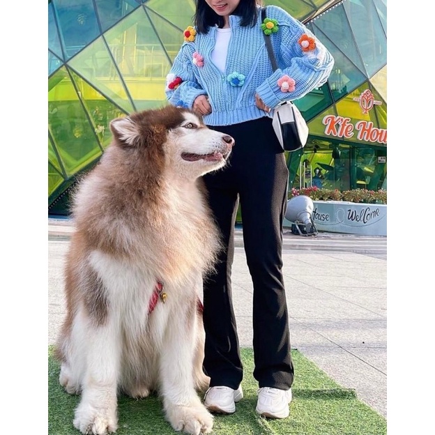Hoa Len Cài Áo Xinh Xắn