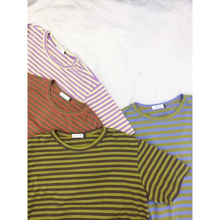Áo thun nam nữ - Basic Cotton Tee