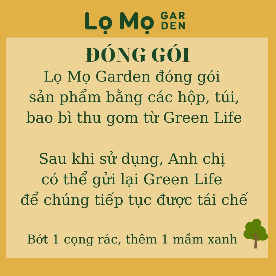 Hạt giống rau, củ, quả - Lọ Mọ Garden