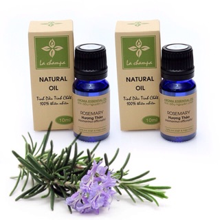 🌿TINH DẦU HƯƠNG THẢO ROSEMARY OIL