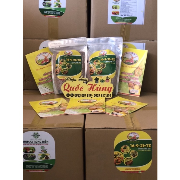 Hạt giống các loại hoa