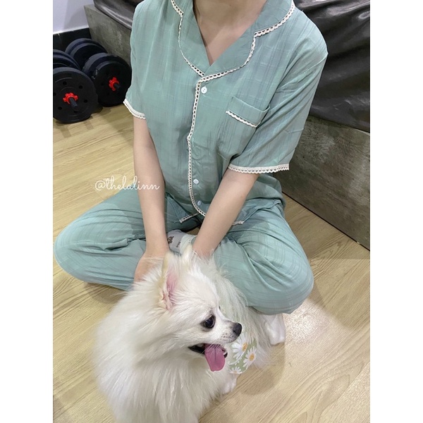 [ ẢNH THẬT ] Set pijama cổ bẻ tay ngắn quần dài chất đũi mát