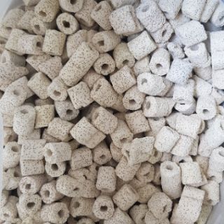 Sứ nhẫn trắng 0,5kg