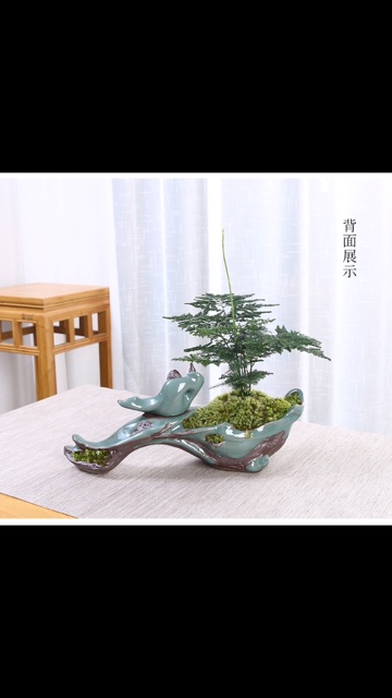 Chậu gốm bon sai mi ni