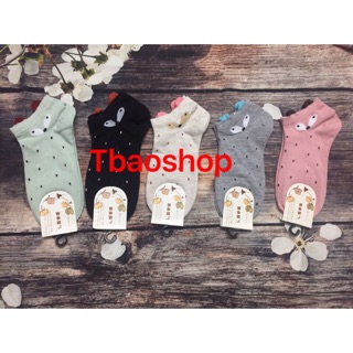 Set 5 đôi tất nữ cổ ngắn
