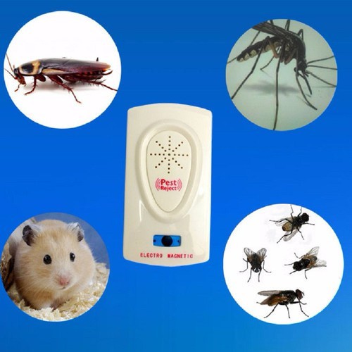 Máy đuổi chuột, gián, muỗi và côn trùng Pest RepMeller