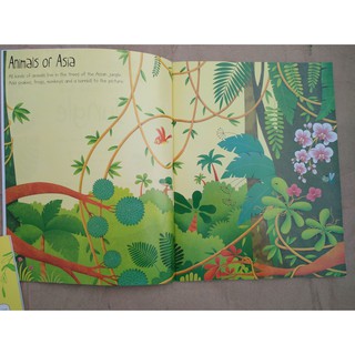 Dính dán - Usborne sticker book - Jungle
