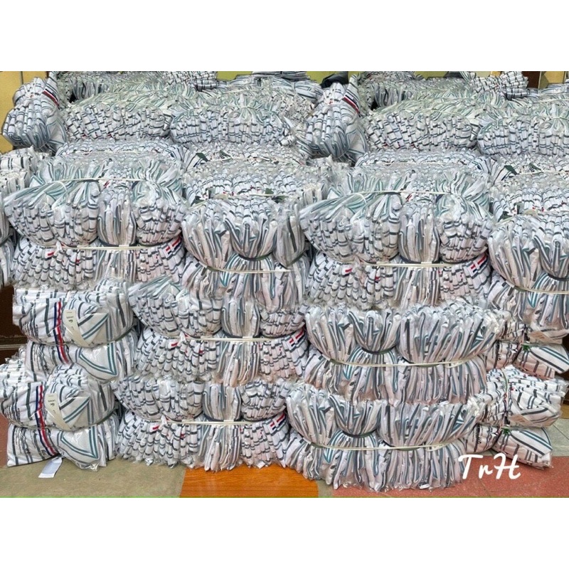 ÁO POLO KẺ LA.COS.TE NỮ HÀNG THIẾT KẾ