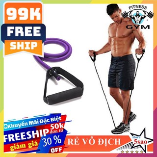 FREESHIP 🎁 Dây kéo đàn hồi 16 - 20 LB  ❤️ Dây ngũ sắc tập gym màu tím